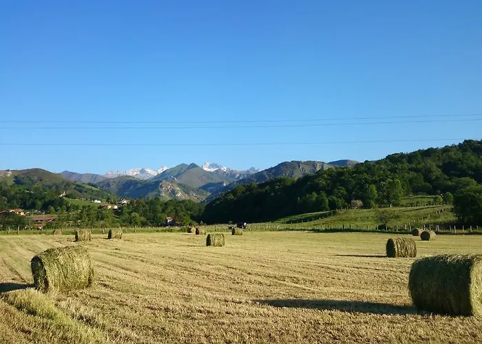 Landhaus El Llagar De